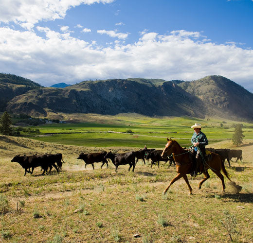 Snake River Farms - Who We Are
