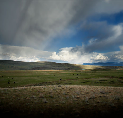 Sustainability at Snake River Farms